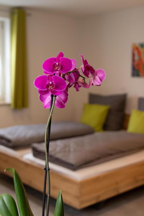 Apartment Alte Raiffeisenkasse Rothenburg Ob Der Tauber Ngoại thất bức ảnh